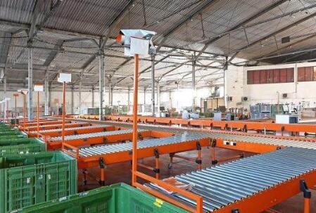 將人工分揀變成機器分揀，使用斜輪分揀機一步搞定