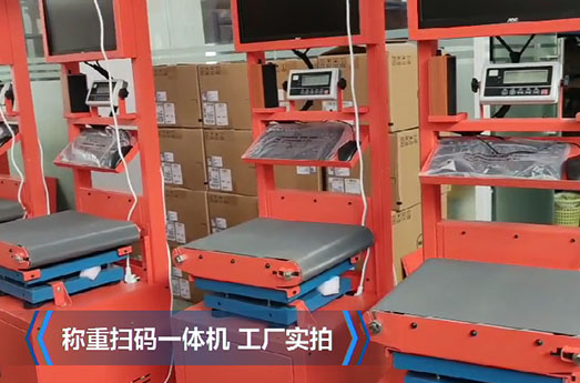 電商物流快遞專用動態掃碼稱重設備視頻